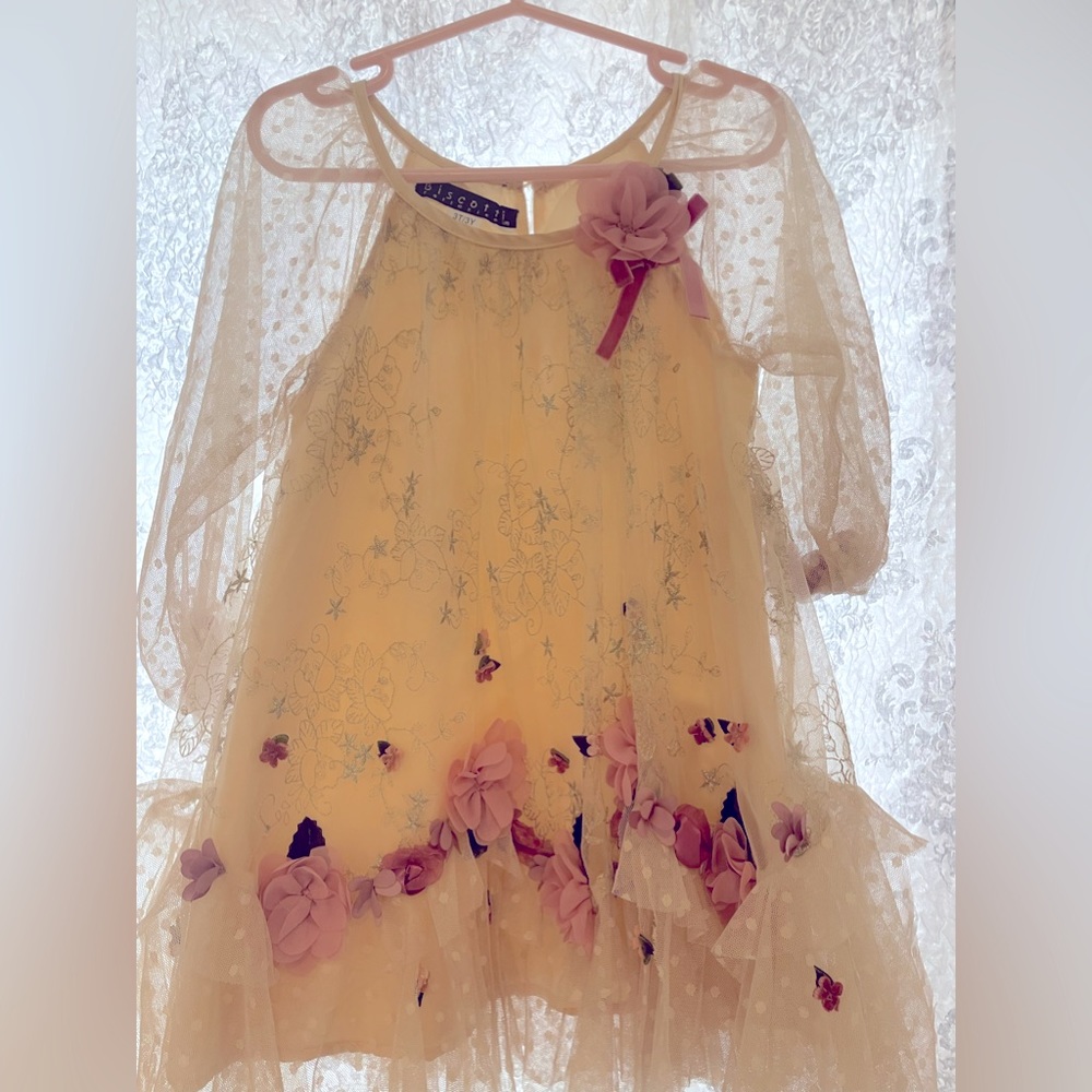 Biscotti Girls' Toddler Vintage Treasure Netting Long Sleeve Dress.